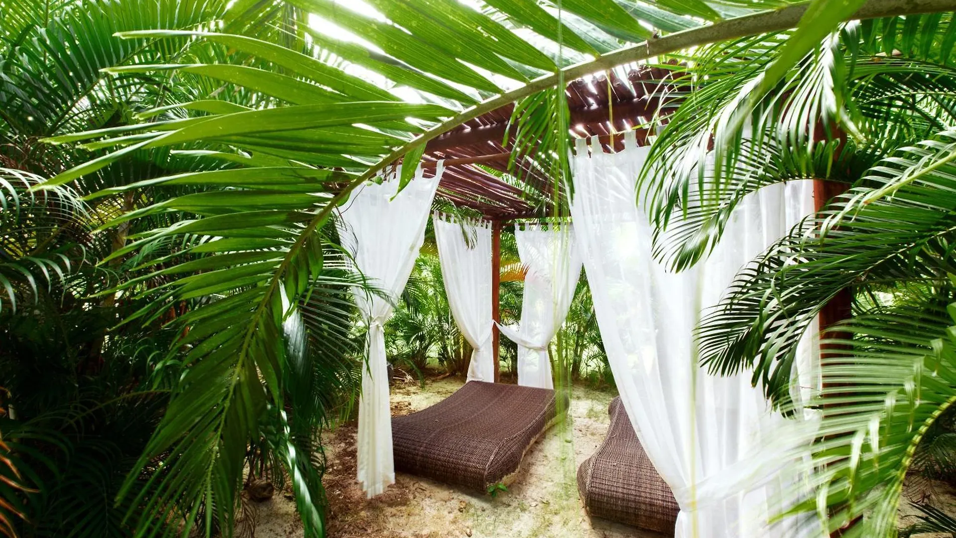 ***** Отель Grand Caribe Suites Deluxe Пунта-Кана Доминиканская Республика